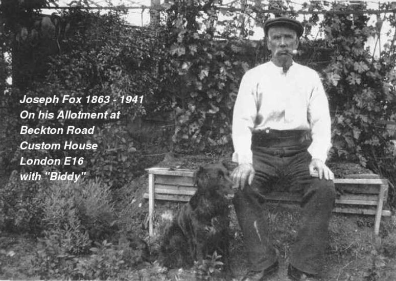 Joseph Fox - 1863-1941O.JPG